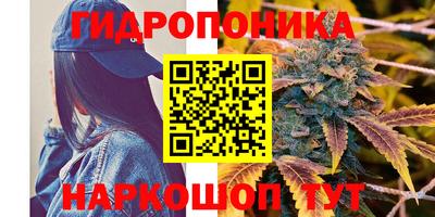 винт Новозыбков
