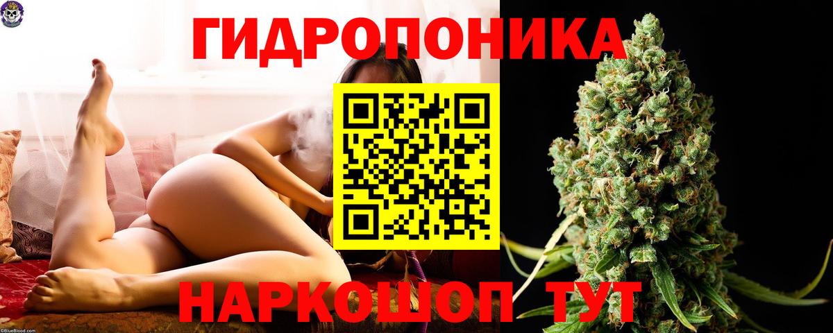 Бошки марихуана LSD WEED Сокол
